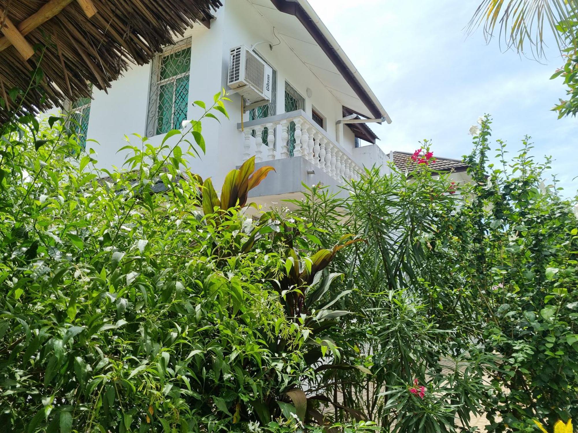 64 Zenj House Luxury Airport Bed & Breakfast